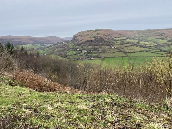 View from the forest track 